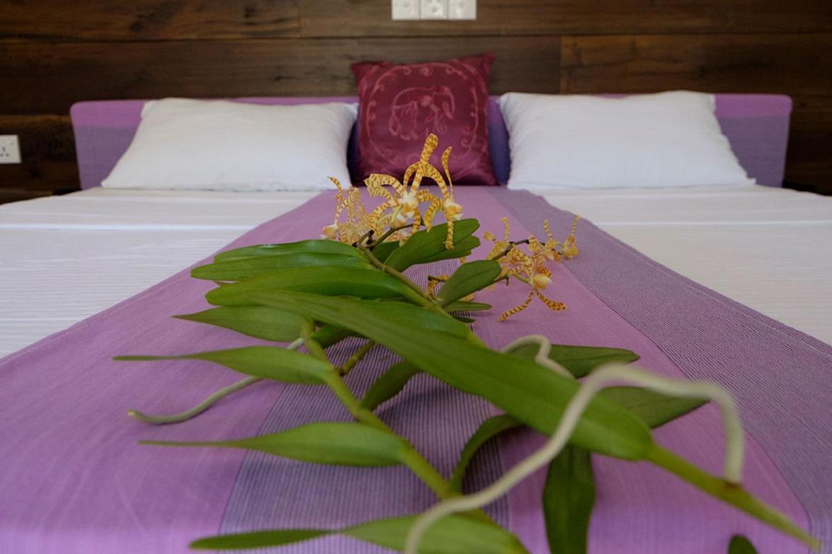 Sanda Eliya Resort Bentota Extérieur photo
