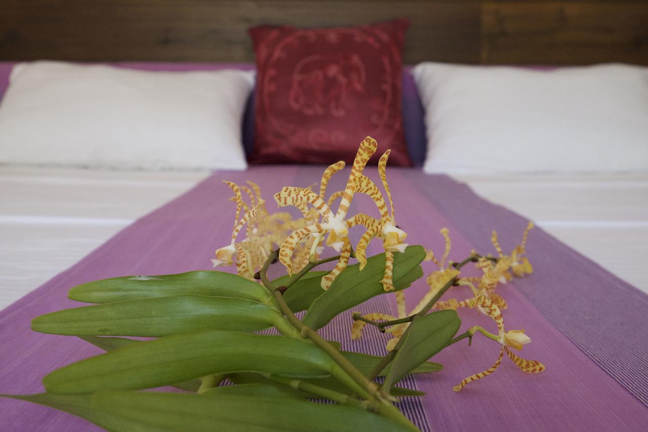 Sanda Eliya Resort Bentota Extérieur photo